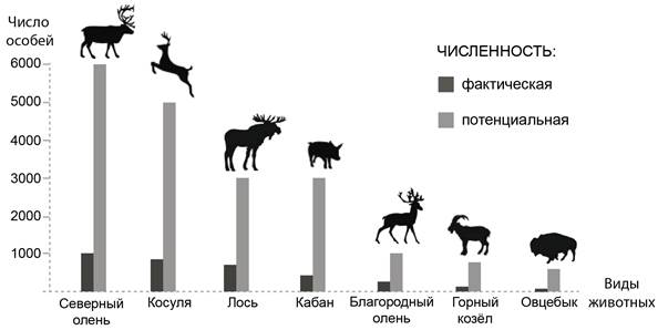 Диаграмма соотношения фактической и потенциальной численности популяций животных