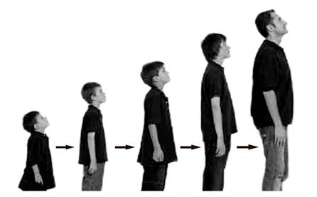 Человек на разных этапах жизни