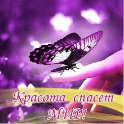 Фотография бабочки на цветке с надписью «Красота спасёт мир!»