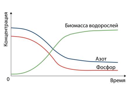 График изменения концентрации минеральных веществ и биомассы водорослей