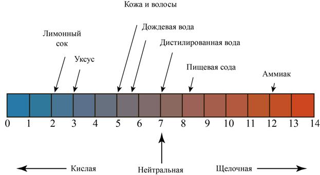 Шкала pH с указанием кислотности и щёлочности различных веществ